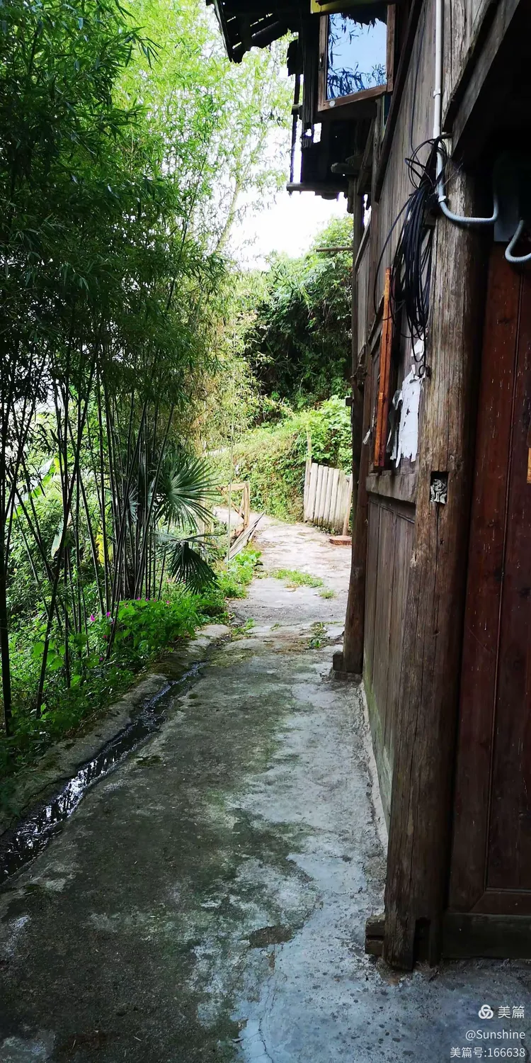 凤凰岭下醉苗乡